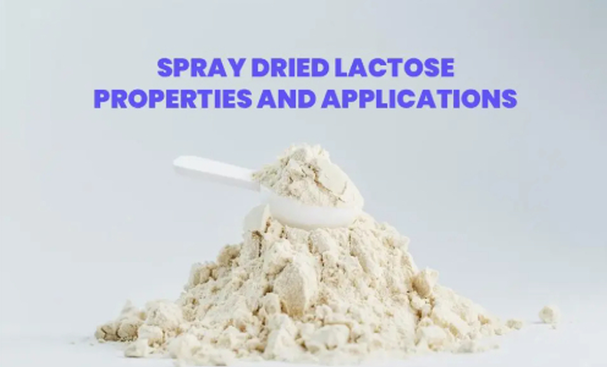 Spray Dried Lactose Properties and Applications